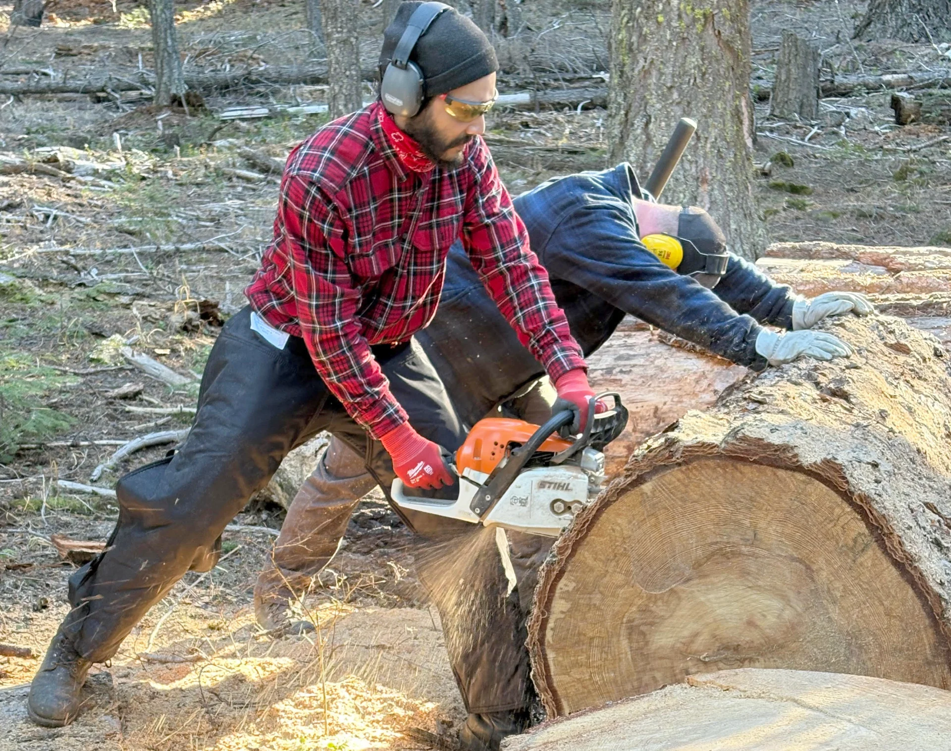 Two volunteers work together to cut a log with a chainsaw.